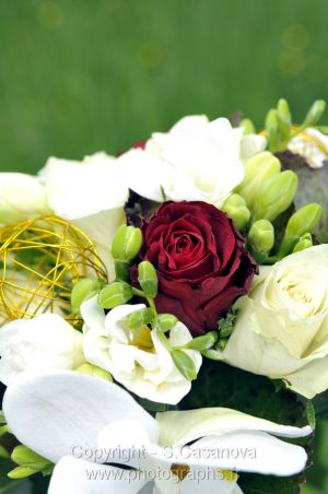 20120512_CASANOVA_2161.JPG